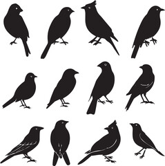 Collection of Black Bird Silhouettes: Vector Design Elements