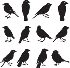 Collection of Black Bird Silhouettes: Vector Design Elements