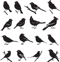 Collection of Black Bird Silhouettes: Vector Design Elements