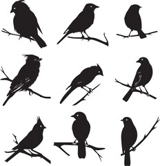 Collection of Black Bird Silhouettes: Vector Design Elements