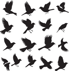 Collection of Black Bird Silhouettes: Vector Design Elements