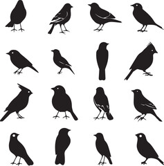 Collection of Black Bird Silhouettes: Vector Design Elements