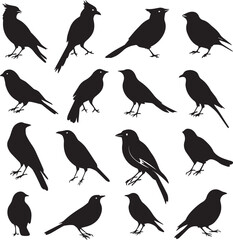 Fototapeta premium Collection of Black Bird Silhouettes: Vector Design Elements