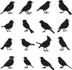Collection of Black Bird Silhouettes: Vector Design Elements