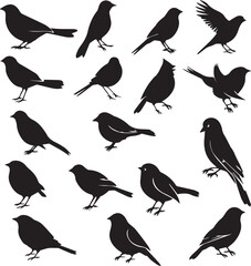 Obraz premium Collection of Black Bird Silhouettes: Vector Design Elements