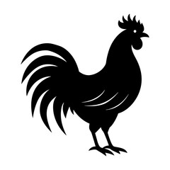 rooster isolated on white