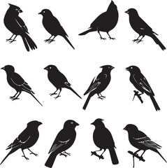 Collection of Black Bird Silhouettes: Vector Design Elements
