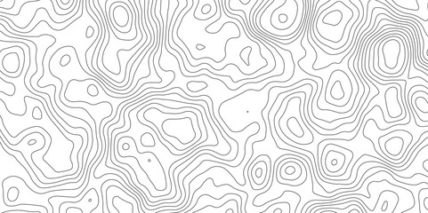 White topology topography vector art abstract background digital shapes contour map texture