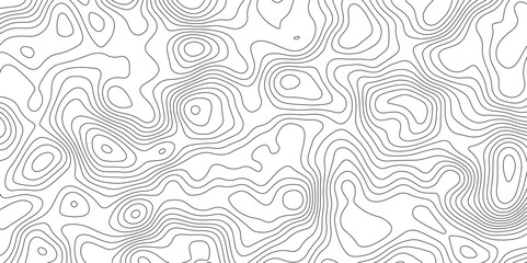 White topology topography vector art abstract background digital shapes contour map texture