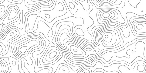 White topology topography vector art abstract background digital shapes contour map texture