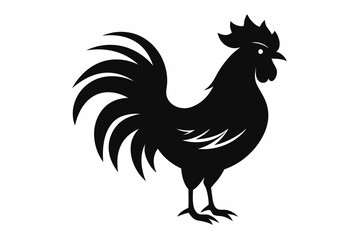 Rooster vector silhouette on white background