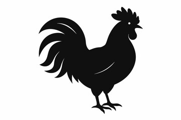 Rooster vector silhouette on white background