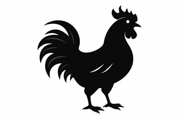 Rooster vector silhouette on white background