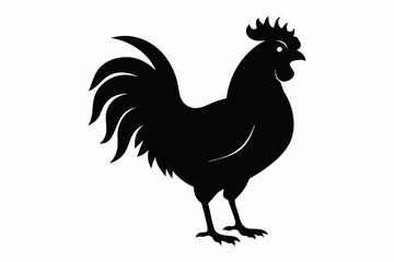 Rooster vector silhouette on white background