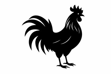 Rooster vector silhouette on white background