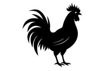 Rooster vector silhouette on white background
