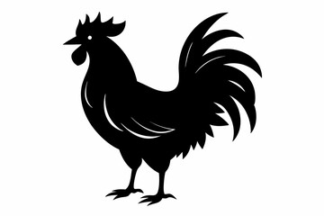 Rooster vector silhouette on white background
