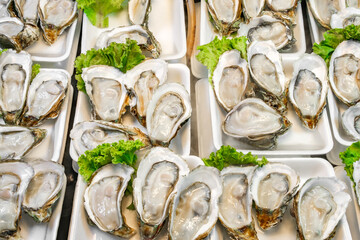 fresh opened oysters at the fish market © elenvd