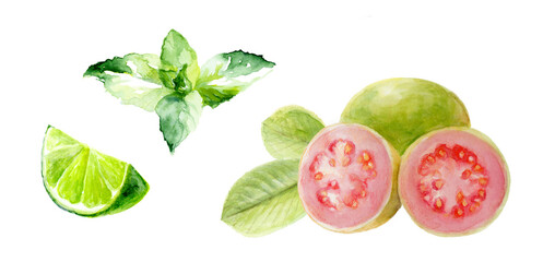 Fresh and Juicy Tropical Fruits with Mint Leaves make a refreshing and colorful combination