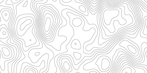 White topology topography vector art abstract background digital shapes contour map texture