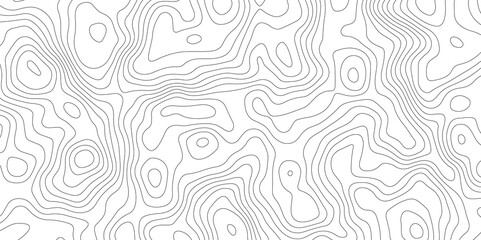 Fototapeta premium White topology topography vector art abstract background digital shapes contour map texture