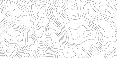 Fototapeta premium White topology topography vector art abstract background digital shapes contour map texture