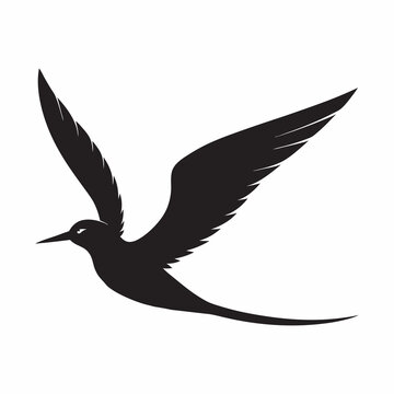 recommend clip art:  tropicbird silhouette black and white icon
