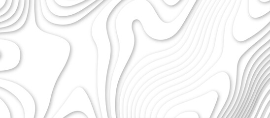 Fototapeta premium White topography 3d layers papercut design dropshadowed abstract contour map texture 3d design