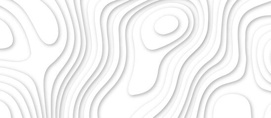 Fototapeta premium White topography 3d layers papercut design dropshadowed abstract contour map texture 3d design
