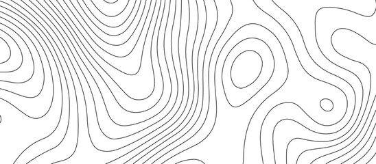 Fototapeta premium White topology topography vector art abstract background digital shapes contour map texture