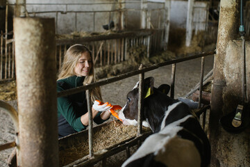 A smiling young woman on a farm takes care of calves in a stall.