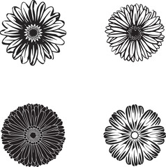 Flower Silhouette Vector Illustration