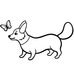 Corgi dog breed coloring page