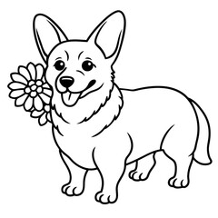 Corgi dog breed vector black line