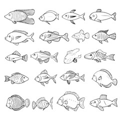 fish, sea, vector, fishing, silhouette, animal, illustration, icon, cartoon, nature, water, pattern, food, salmon, ocean, design, marine, art, set, seafood, seamless, shark, car, Seashells svg, Seashe
