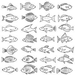 fish, sea, vector, fishing, silhouette, animal, illustration, icon, cartoon, nature, water, pattern, food, salmon, ocean, design, marine, art, set, seafood, seamless, shark, car, Seashells svg, Seashe