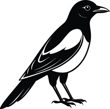 recommend clip art:  Magpie silhouette vector illustration design