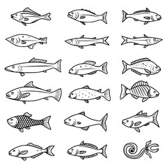 fish, sea, vector, fishing, silhouette, animal, illustration, icon, cartoon, nature, water, pattern, food, salmon, ocean, design, marine, art, set, seafood, seamless, shark, car, Seashells svg, Seashe