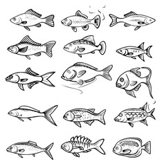 fish, sea, vector, fishing, silhouette, animal, illustration, icon, cartoon, nature, water, pattern, food, salmon, ocean, design, marine, art, set, seafood, seamless, shark, car, Seashells svg, Seashe