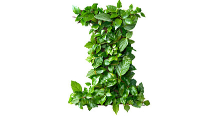 Naklejka premium Letter I Made with Leaves, PNG File, Transparent Background, Isolated on White