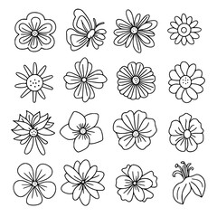 flower, flower silhouette, flower outline, herb svg, herb png,floral, pattern, vector, set, nature, flowers, design, illustration, art, seamless, spring, summer, decoration, plant, ornament, collectio