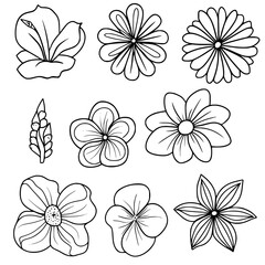 flower, flower silhouette, flower outline, herb svg, herb png,floral, pattern, vector, set, nature, flowers, design, illustration, art, seamless, spring, summer, decoration, plant, ornament, collectio