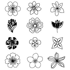 flower, flower silhouette, flower outline, herb svg, herb png,floral, pattern, vector, set, nature, flowers, design, illustration, art, seamless, spring, summer, decoration, plant, ornament, collectio