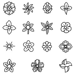 flower, flower silhouette, flower outline, herb svg, herb png,floral, pattern, vector, set, nature, flowers, design, illustration, art, seamless, spring, summer, decoration, plant, ornament, collectio
