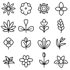 flower, flower silhouette, flower outline, herb svg, herb png,floral, pattern, vector, set, nature, flowers, design, illustration, art, seamless, spring, summer, decoration, plant, ornament, collectio
