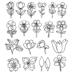 flower, flower silhouette, flower outline, herb svg, herb png,floral, pattern, vector, set, nature, flowers, design, illustration, art, seamless, spring, summer, decoration, plant, ornament, collectio