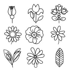 flower, flower silhouette, flower outline, herb svg, herb png,floral, pattern, vector, set, nature, flowers, design, illustration, art, seamless, spring, summer, decoration, plant, ornament, collectio