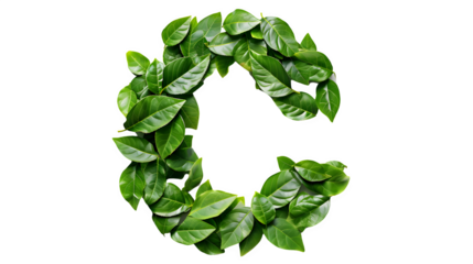 Letter C Made with Leaves, PNG File, Transparent Background, Isolated on White