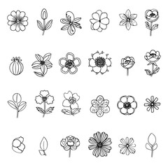 flower, flower silhouette, flower outline, herb svg, herb png,floral, pattern, vector, set, nature, flowers, design, illustration, art, seamless, spring, summer, decoration, plant, ornament, collectio
