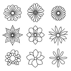 flower, flower silhouette, flower outline, herb svg, herb png,floral, pattern, vector, set, nature, flowers, design, illustration, art, seamless, spring, summer, decoration, plant, ornament, collectio